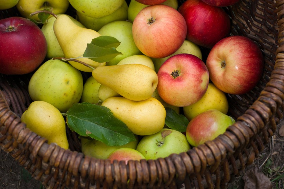 Podzim je ideální dobou ke konzumaci jablek a hrušek.