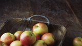 Nevíte, co s padanými jablky? Přinášíme ověřené tipy a recepty!