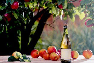 Cider a cidre: Rozdíl mezi nápoji z kvašeného moštu ochutnáte na F.O.O.D. pikniku!