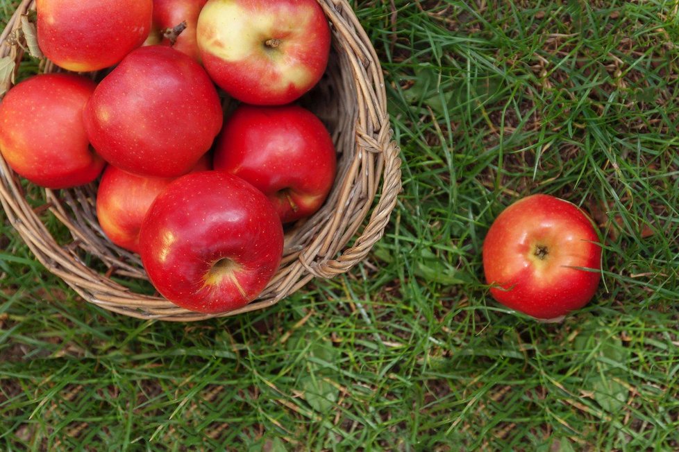 Jablka obsahují vitaminy A, B, C a E. Také řadu antioxidantů a asi 30 minerálních látek, jako železo, fosfor, draslík, hořčík, vápník, karoten, nenasycené mastné kyseliny a kyselinu listovou.