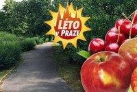 Praha rozdává ovoce zdarma: Natrhat si můžete třešně, jablka i mandle