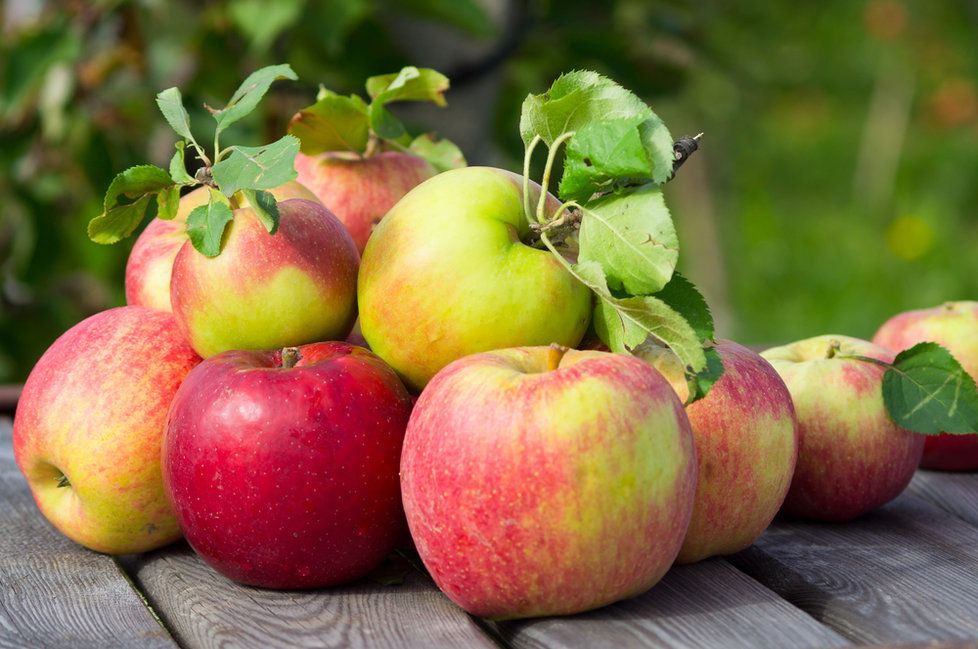 Jak vybrat a skladovat jablka?