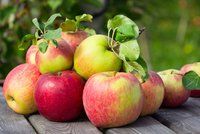 Jablka jsou plná bakterií, říkají vědci. Nejvíc jich je v čerstvém bio ovoci