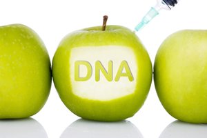 Hubnutí pomocí DNA