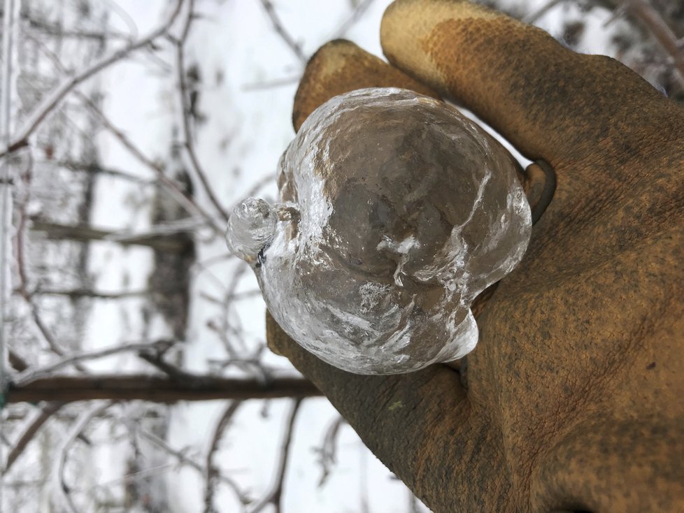 Mrazy v USA vytvořily záhadná ledová jablka. Umožnila to série specifických podmínek.