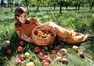 Právě v září vrcholí sklizeň podzimních a některých zimních odrůd jablek. Jak je správně uskladnit?