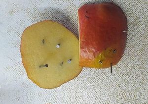 Na soukromou zahradu v Újezdu nad Lesy někdo nastražil jablko propíchané hřebíky.