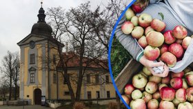 Tašky a košíky s sebou. Tradiční zámecké jablkobraní ve Ctěnicích nabídne jarmark i Pata s Matem