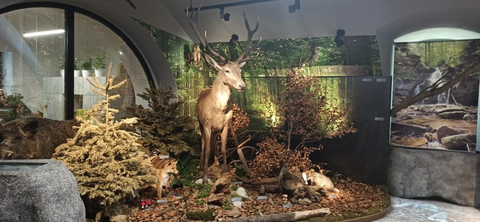 V Jablunkově je nově otevřené unikátní Muzeum Trojmezí, tématicky zahrnuje život předků na území Česka, Polska a Slovenska.