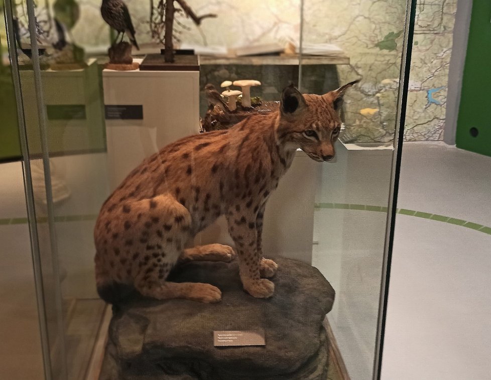 V Jablunkově je nově otevřené unikátní Muzeum Trojmezí, tématicky zahrnuje život předků na území Česka, Polska a Slovenska.