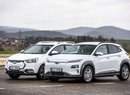 JAC iEV7S vs. Hyundai Kona Electric Eco Future