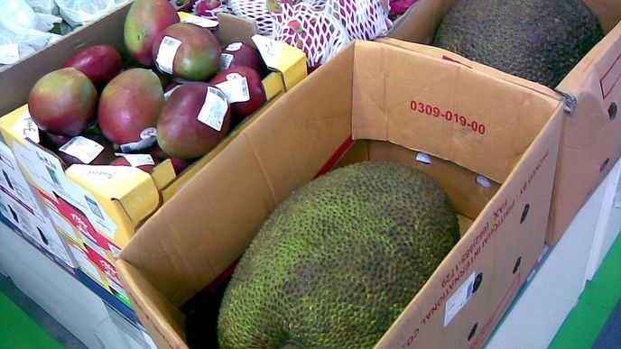 Jackfruit