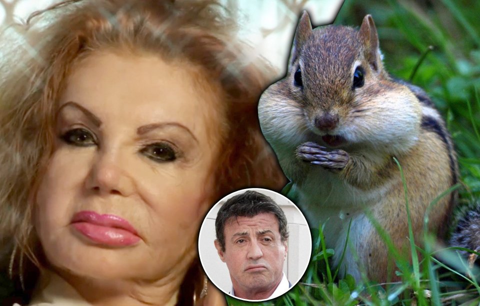 Jackie Stallone tvrdí, že vypadá jako hlodavec čipmank s tlamou narvanou potravou