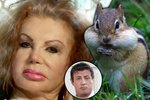 Jackie Stallone tvrdí, že vypadá jako hlodavec čipmank s tlamou narvanou potravou