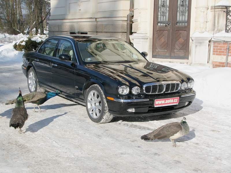 Jaguar XJ