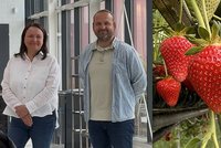 Jahodové království u Mělníka. Hančovi vybudovali farmu snů, za 28 let ale nepoznali dovolenou