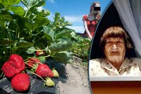 Šílený důchodce: Sousedku polil kyselinou kvůli větším jahodám