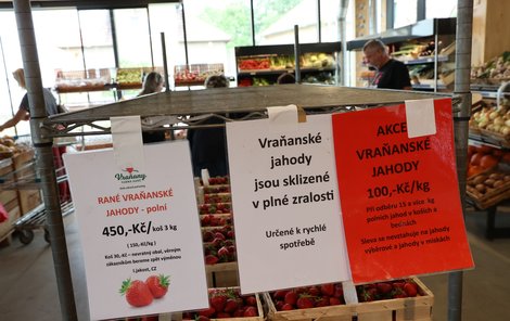 Ceny jahod ve Vraňanech