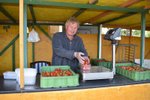 Oldřich Kříž už letos začal prodávat natrhané jahody u plantáže nedaleko plzeňských Radčic.
