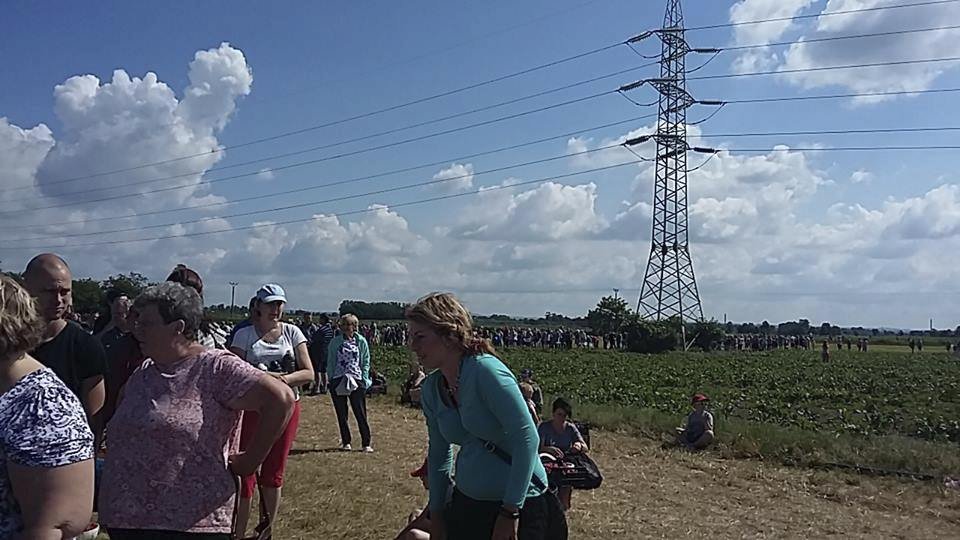 V neděli ve Vraňanech zavřela jahodárna brány už v devět dopoledne.