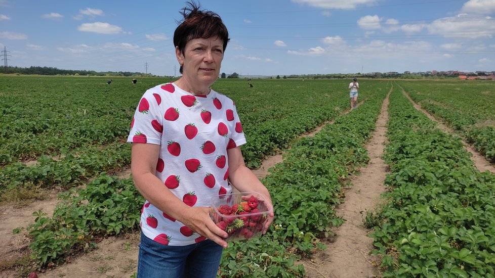 Majitelka jahodové farmy Miroslava Kubíčková v Šakvicích.