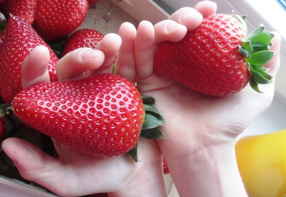 Nejvíce pesticidů bylo nalezeno v jahodách.