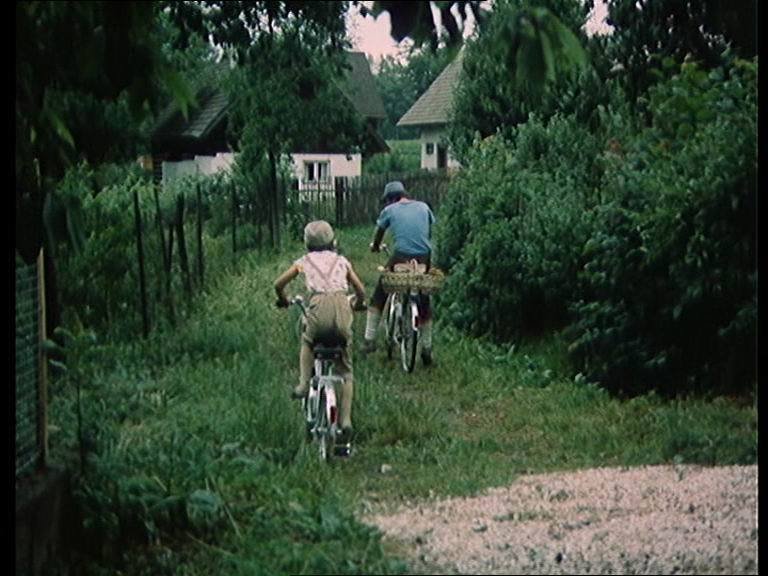 1978 - Cestička ale nevede kolem skal k dědově chalupě. Už po 50 metrech končí.