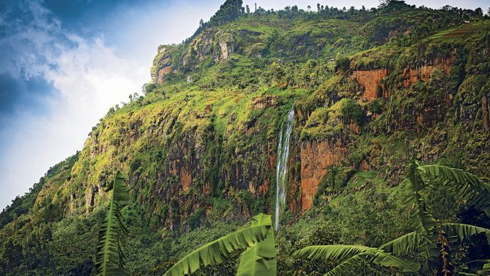 Kávová hora Mount Elgon