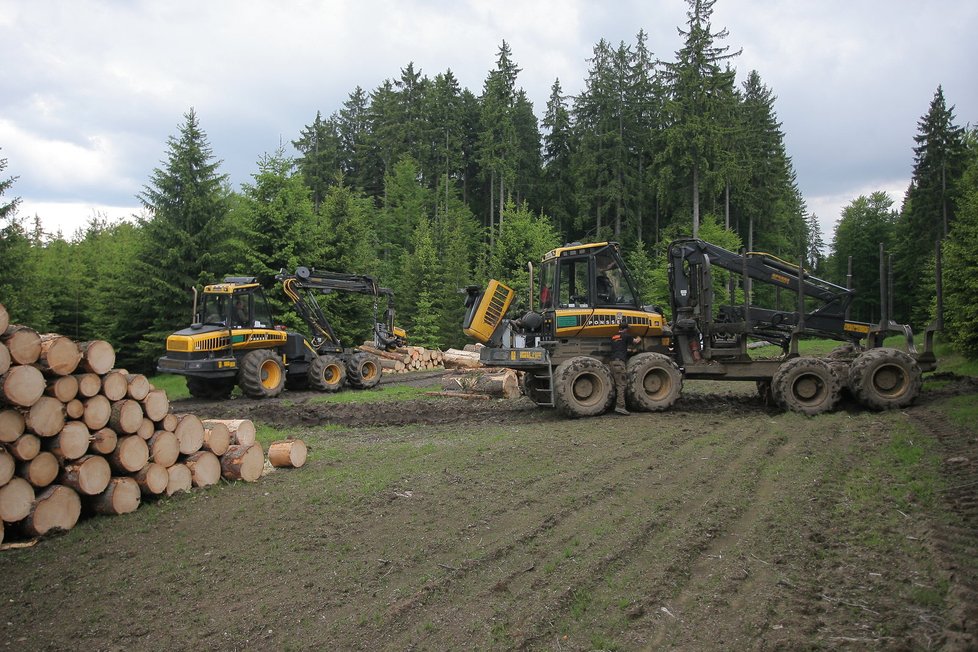 Harvestor s vyvážečkou pohromadě