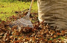 5 rad pro ty, kdo mají zahrady plné listí: Pořád padá, kam s ním?