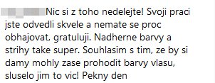 Jedni práci Jakuba a Nikol Ponerových pro Zemanovy kritizovali, jiní se jich zastávali.