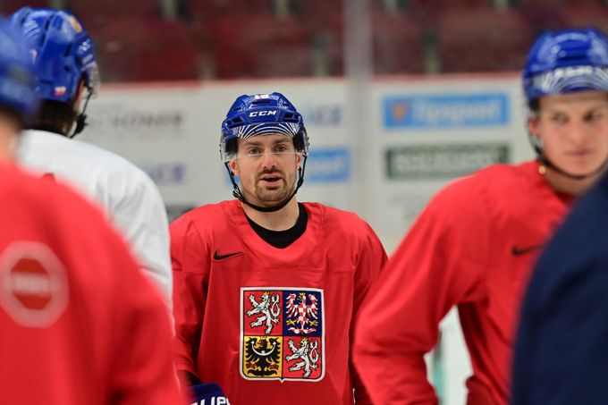 Extraligový McFlek: V každém z nás je touha a oheň vyrovnat se hvězdám NHL Extraligový McFlek: V každém z nás je touha a oheň vyrovnat se hvězdám NHL