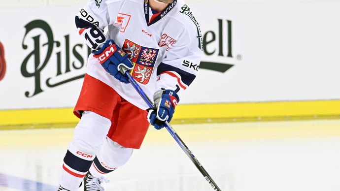 Hokejista Jakub Flek v českém dresu.