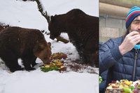 Herec Jakub Kohák budil medvědy: Huňáčům z dortu slupnul malinu