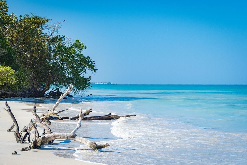 Jamajka nabízí nekonečné pláže i krásy podmořského života