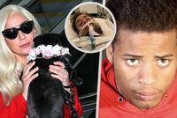 Lady Gaga si oddechla: Vězení pro muže, co postřelil jejího »venčitele« psů! Kolik dostal?