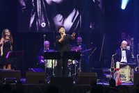 Životní koncert Honzy Bendiga: Nachystal show za 2,5 milionu!