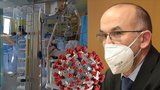 Blatný vytasil dobré zprávy: Lékaři dostanou odměny, proočkovanost seniorů roste. A co lůžka?