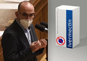 Ivermektin a isoprinosine: Blatný čelil dotazům na experimentální léky. Pomohou proti covidu?