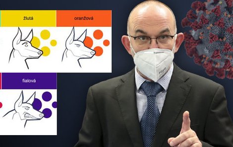 Česko ohlídá pět psů. Ministr zdravotnictví Jan Blatý (za ANO) vysvětlil, jak funguje protiepidemický systém PES