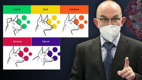 Česko ohlídá pět psů. Ministr zdravotnictví Jan Blatný (za ANO) vysvětlil, jak funguje protiepidemický systém PES.
