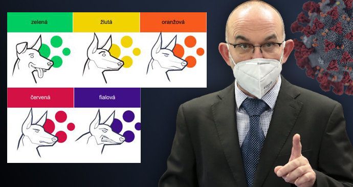 Česko ohlídá pět psů. Ministr zdravotnictví Jan Blatný (za ANO) vysvětlil, jak funguje protiepidemický systém PES.