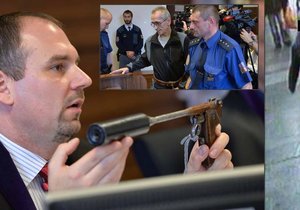 Soudce ukázal zbraň, kterou Jan Holman zavraždil Danuši