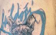 Nové tetování Honzy Musila, které podstoupil kvůli charitě
