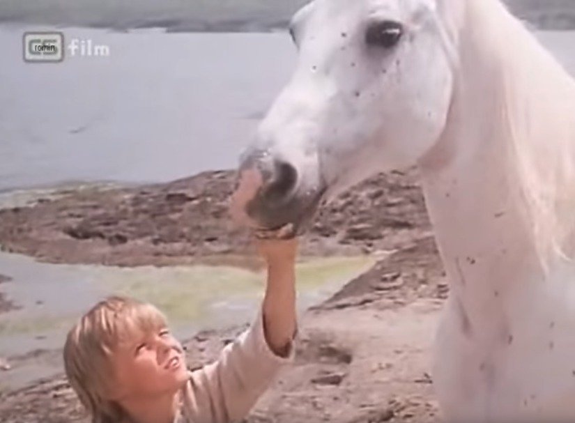 Jan Kalous ve filmu Veverka a kouzelná mušle