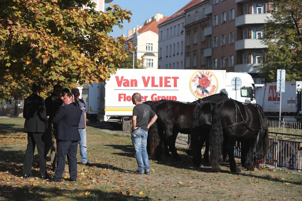 Koně, které potáhnou kočár s tělem Jana Kočky ml. (†28), jsou již na místě. Celkem potáhne kočár šest černých zvířat.