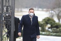Ústavní právníci si podali Zemana kvůli Lipavskému. Ovčáček kontroval citátem Havla