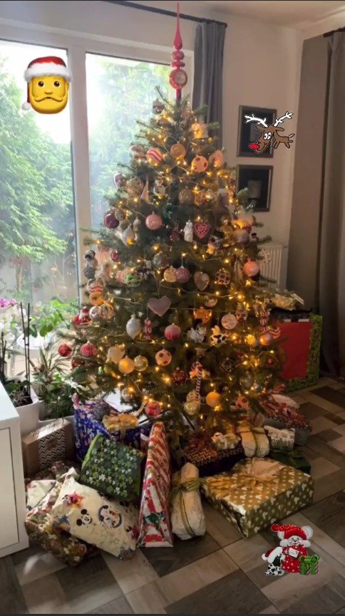 Tolik dárků se pod stromeček skoro nevešlo.