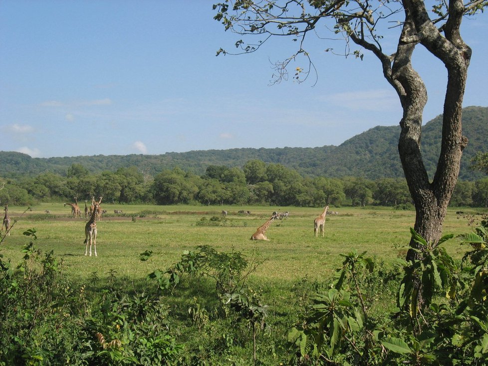 Expedice na Kilimandžáro byla velkým africkým dobrodružstvím