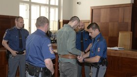 Soud zvýšil Janu Silovskému, který se chtěl dát k ISIS, trest na šest let.